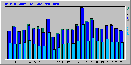 Hourly usage for February 2020