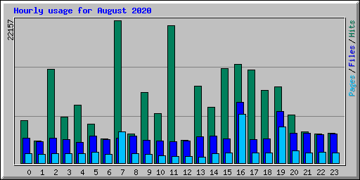 Hourly usage for August 2020