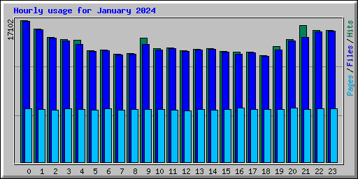 Hourly usage for January 2024