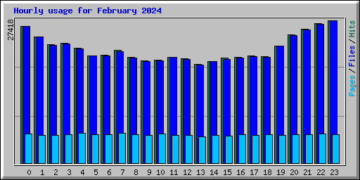 Hourly usage for February 2024