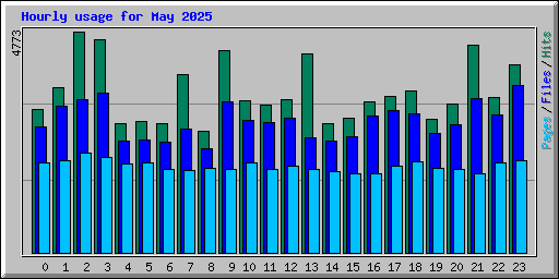 Hourly usage for May 2025