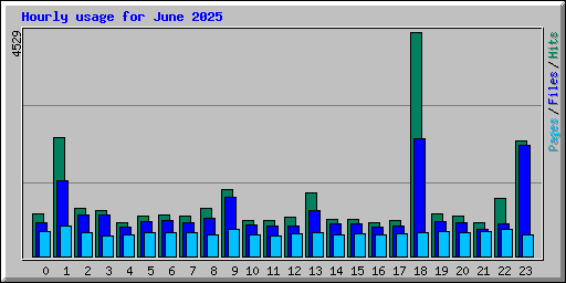 Hourly usage for June 2025